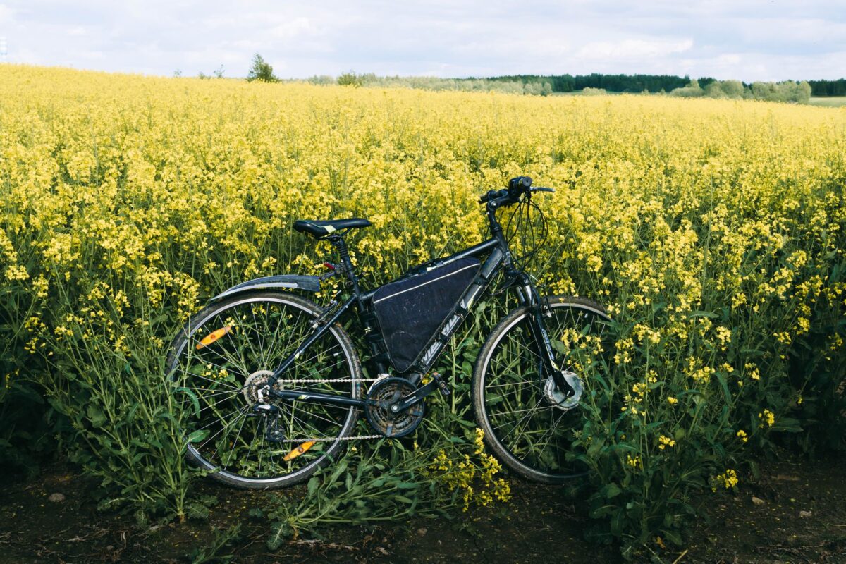 puissance batterie vélo recharge durée vie