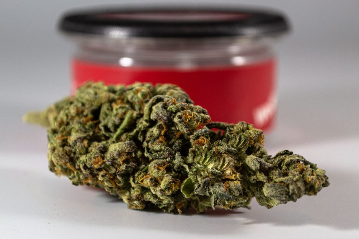 fleurs cbd reconnaître seuils thc
