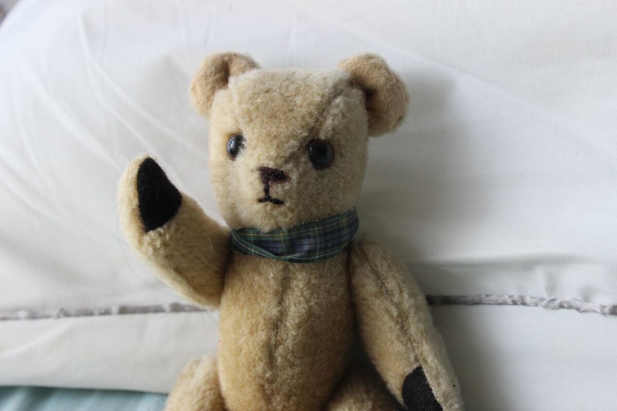 taille poids teddy carrure repères